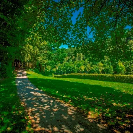 Feriendomizil Haus Am 度假居 Biersdorf